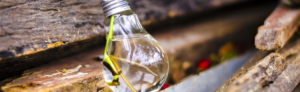 The Importance of Recycling Household Waste The Importance of Recycling Household Waste